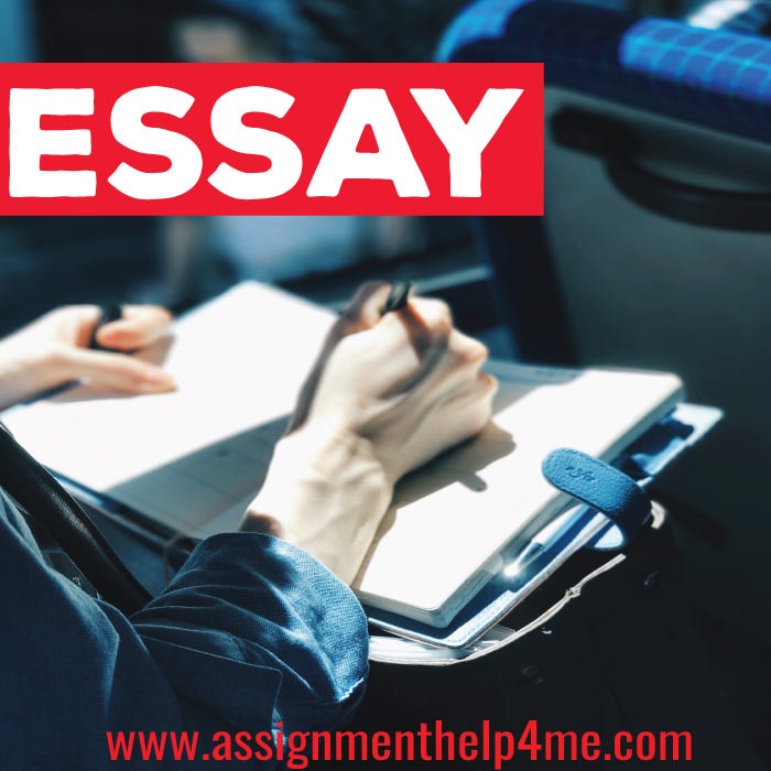 Help me With My College Essay