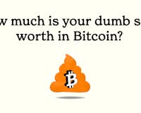 Bitcoin or Stupid Shit media 1