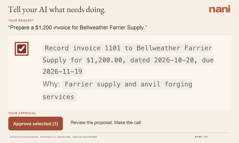 Nani Accounting screenshot 4