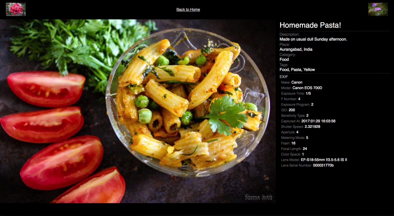 Static Gallery gallery image