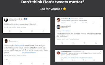 Did Elon Tweet About Bitcoin? gallery image