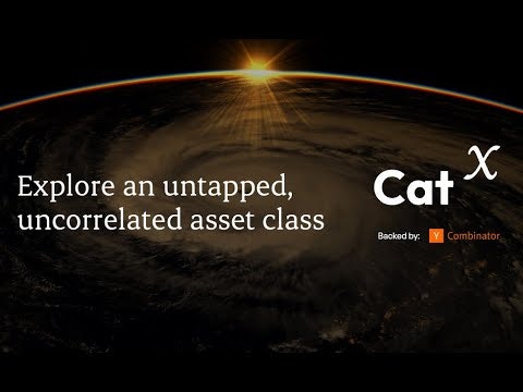 CatX (YC S23) gallery image