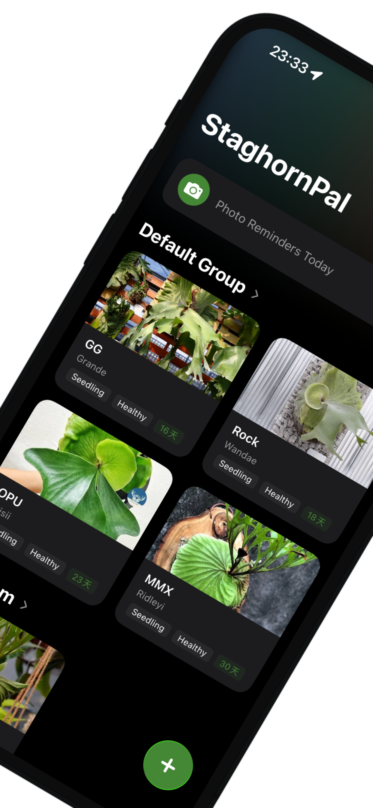 StaghornPal gallery image