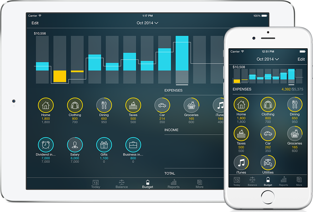 Money Pro gallery image