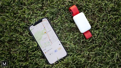 FindMyCat pet tracker designed for both indoor and outdoor use