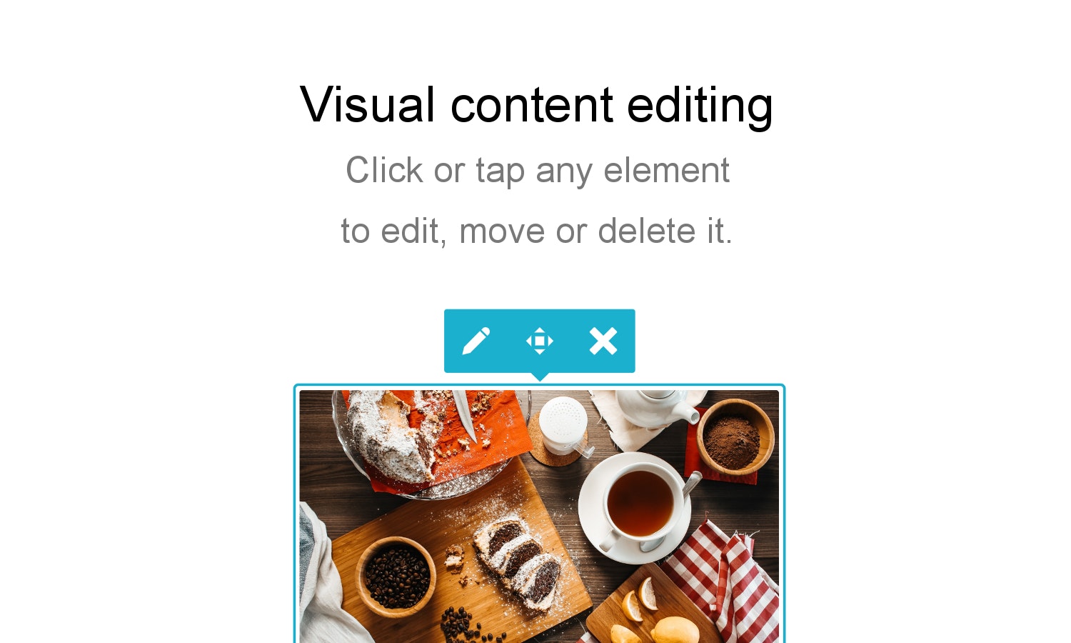 Bear CMS gallery image
