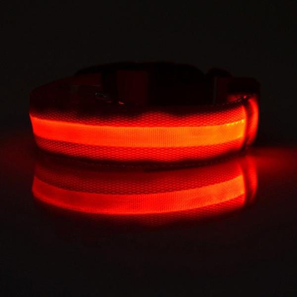 LED Pet Safety Collar gallery image