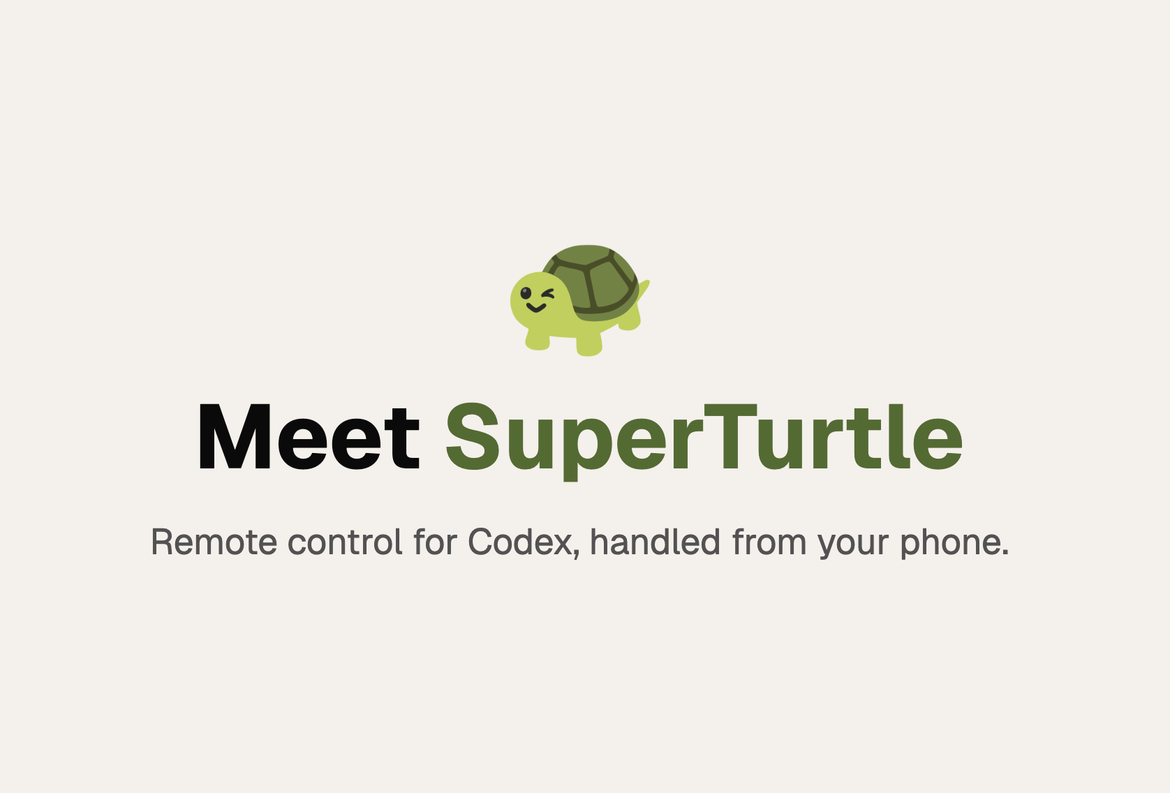 SuperTurtle gallery image