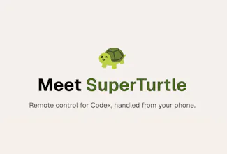 SuperTurtle gallery image