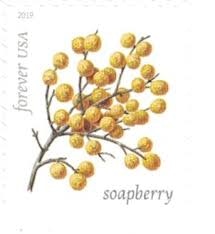 Winter Berries Postage Stamps media 2