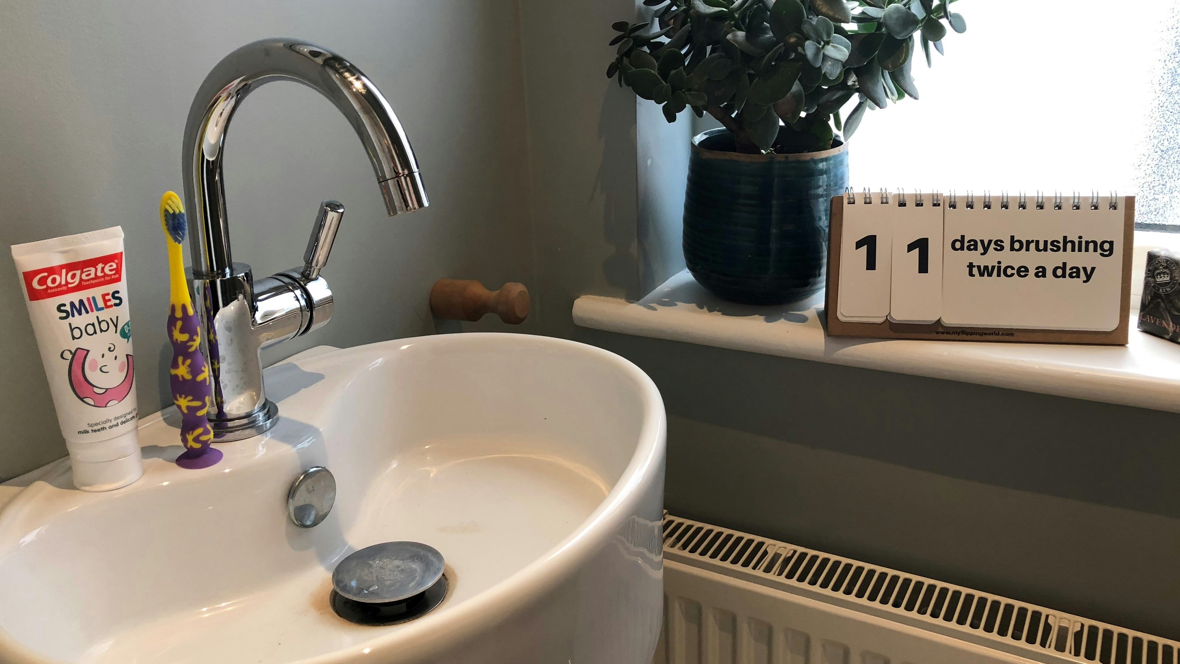 My Flipping World gallery image