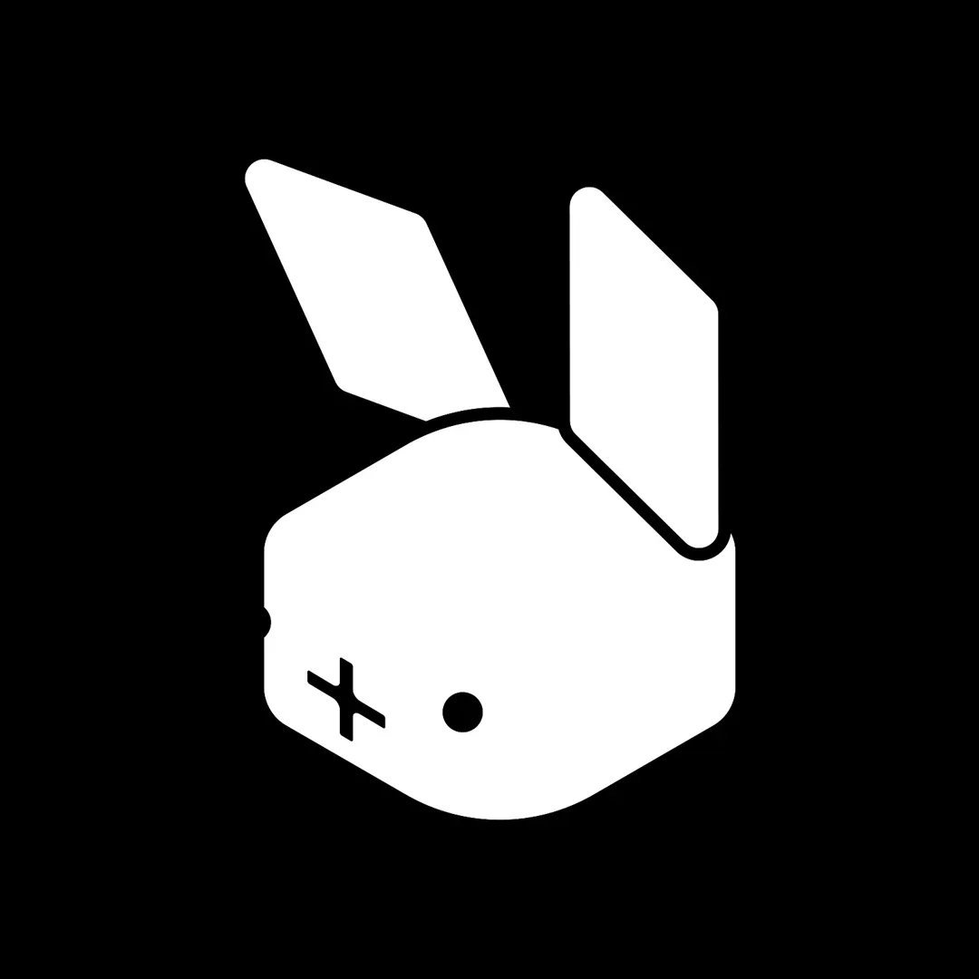 rabbit intern