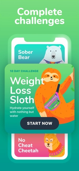 Waterllama gallery image