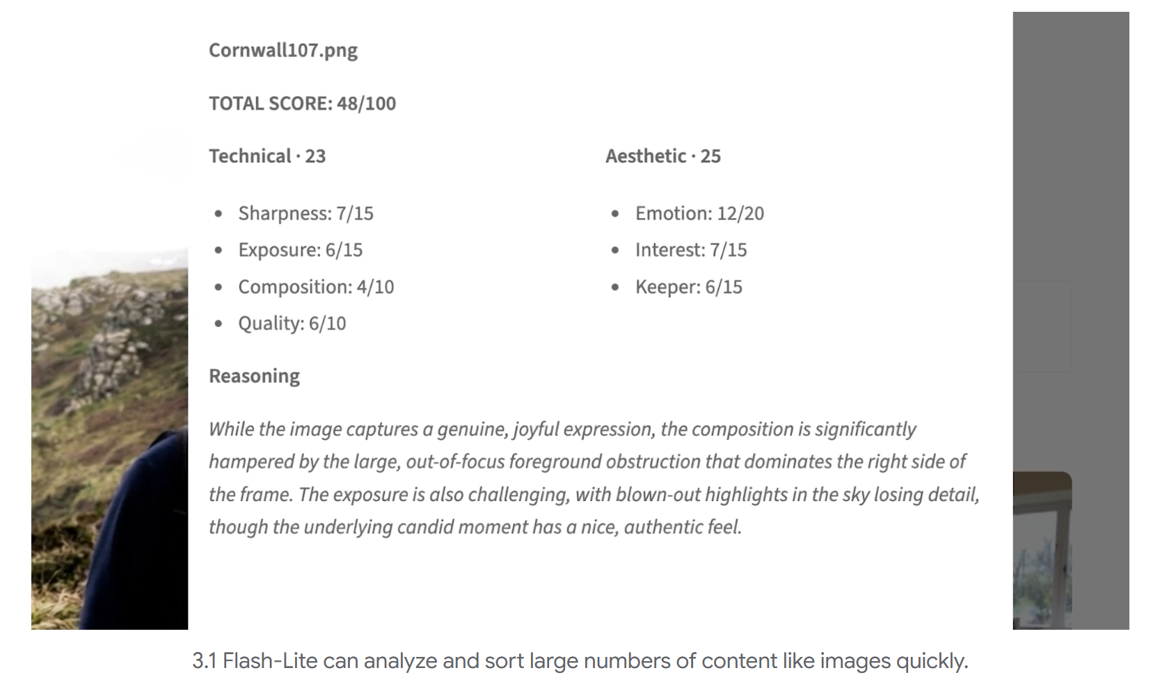Gemini 3.1 Flash-Lite gallery image