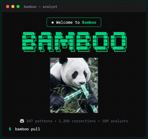 Bamboo — self learning analytics Skill