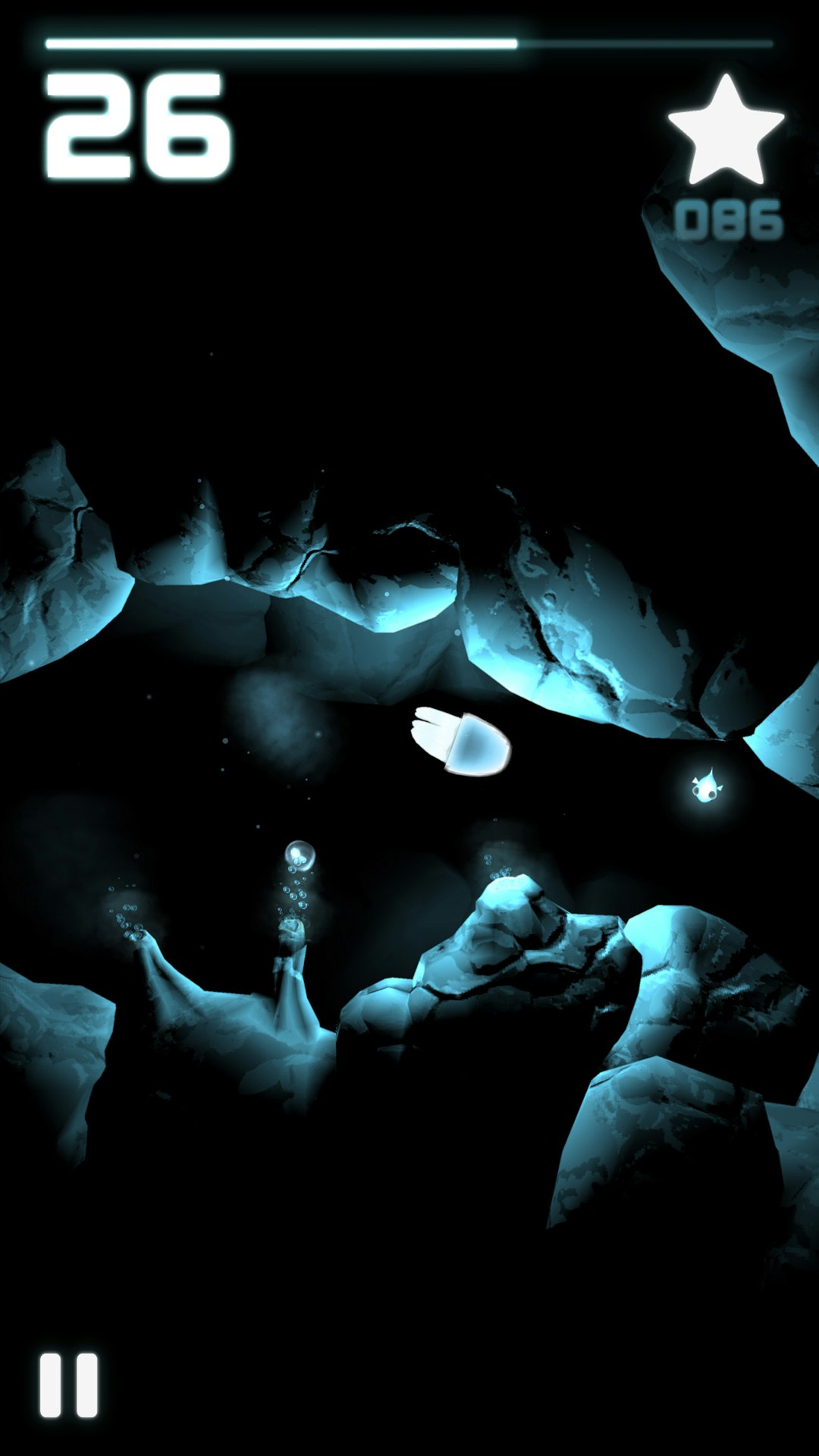 Seashine gallery image