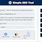 Simple SEO Tool