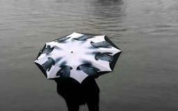 Pluvio Umbrella media 2