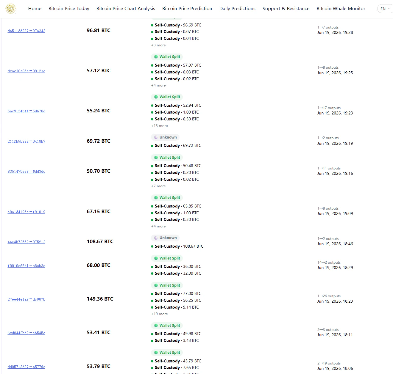 OursCrypto Whale Monitor 截图 4