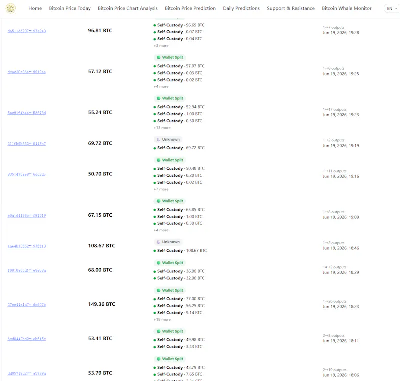 OursCrypto Whale Monitor screenshot 4