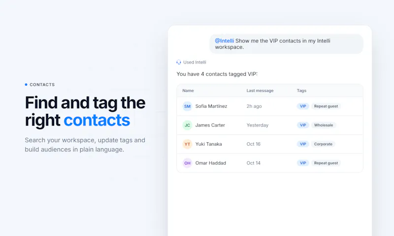Intelli for ChatGPT & Claude screenshot 7