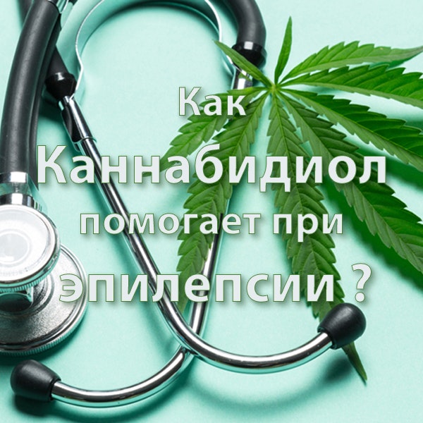 CBD 오일 - CBD 오일 미디어 3