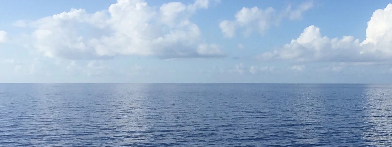 Sam and Janis Allen cover