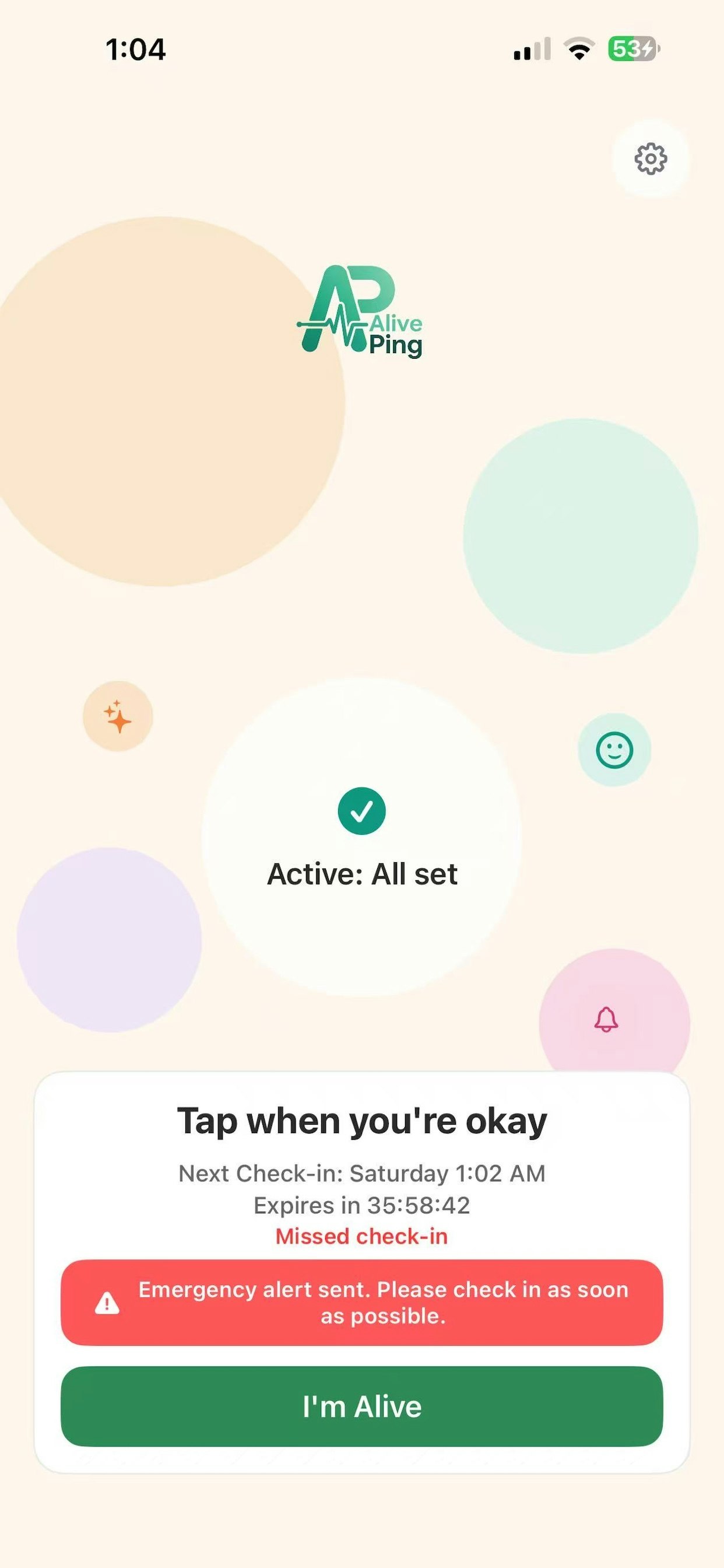 AlivePing Check-in gallery image