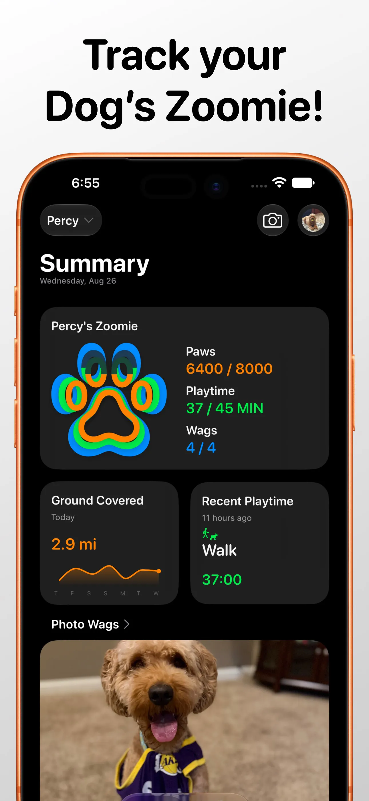 Zoomie - Dog Activity Tacker gallery image