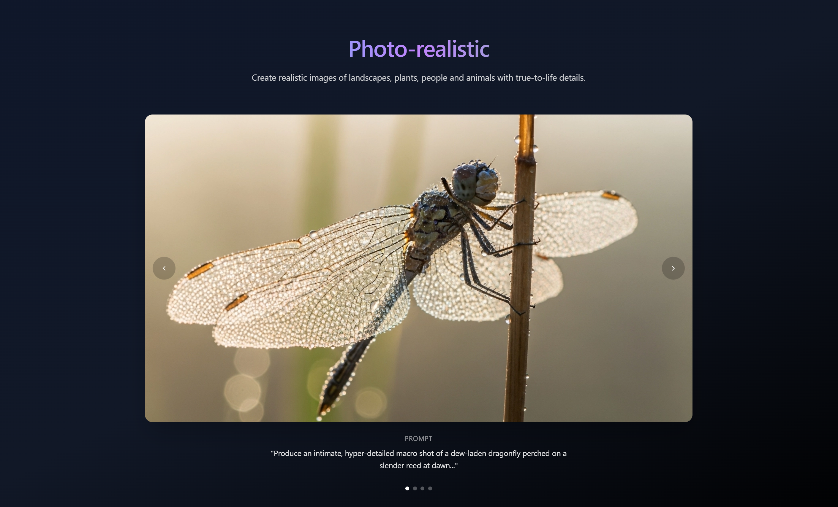 VibeNecto gallery image