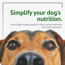 Feed Right gallery image