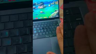 FreeSlapMac gallery image