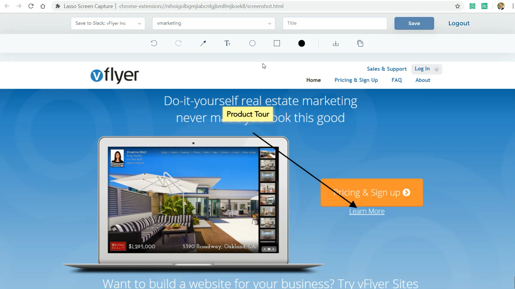 Lasso Screen Capture for Web-projects 