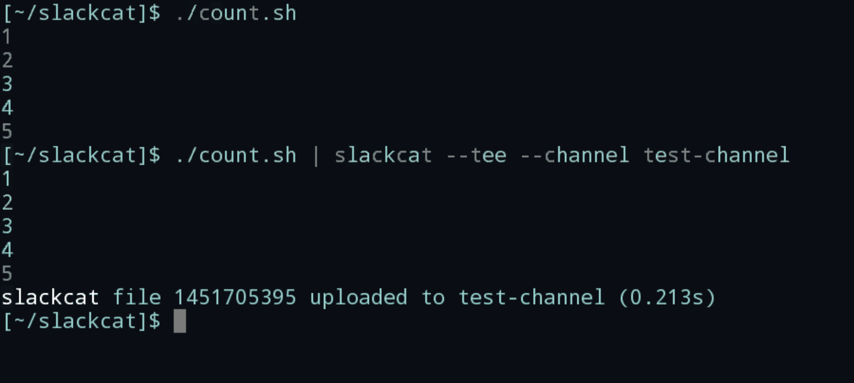 slackcat gallery image