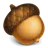 Acorn 6