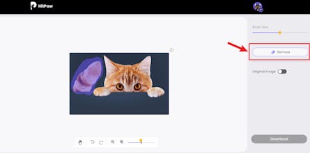 HitPaw Online Object Remover gallery image