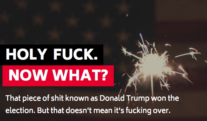 Holy F*ck The Election gallery image