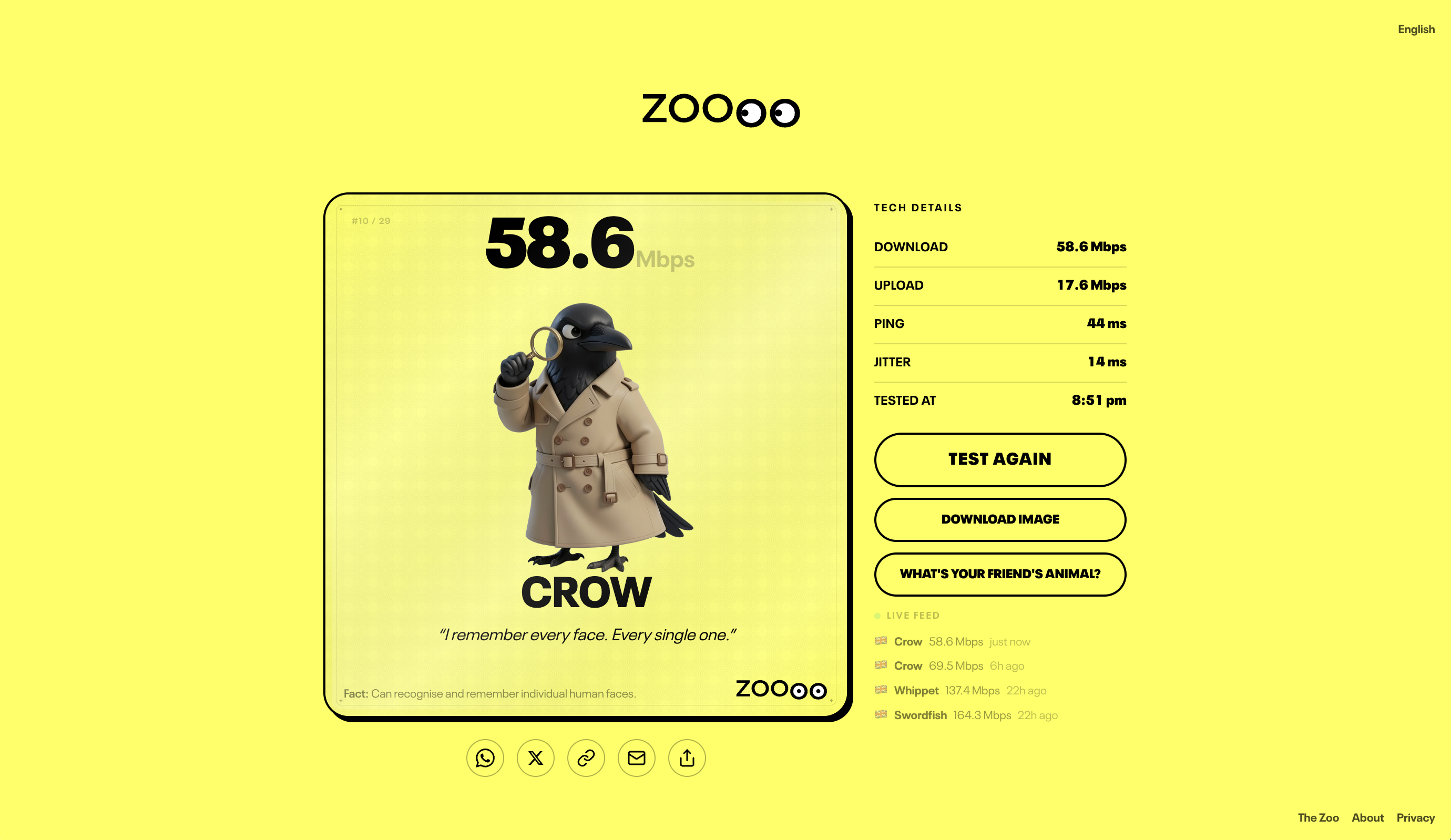 ZOOOO gallery image