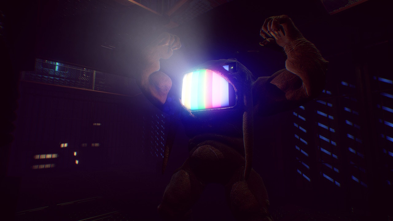 Watch this! gallery image