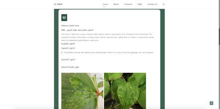 NABTA.MA gallery image