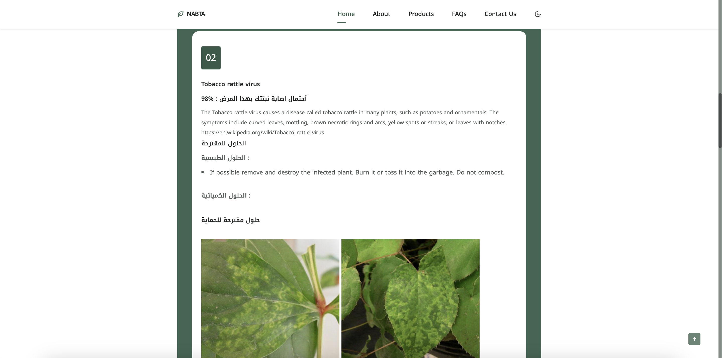 NABTA.MA - Waar planten spreken en oplossingen bloeien! media 4