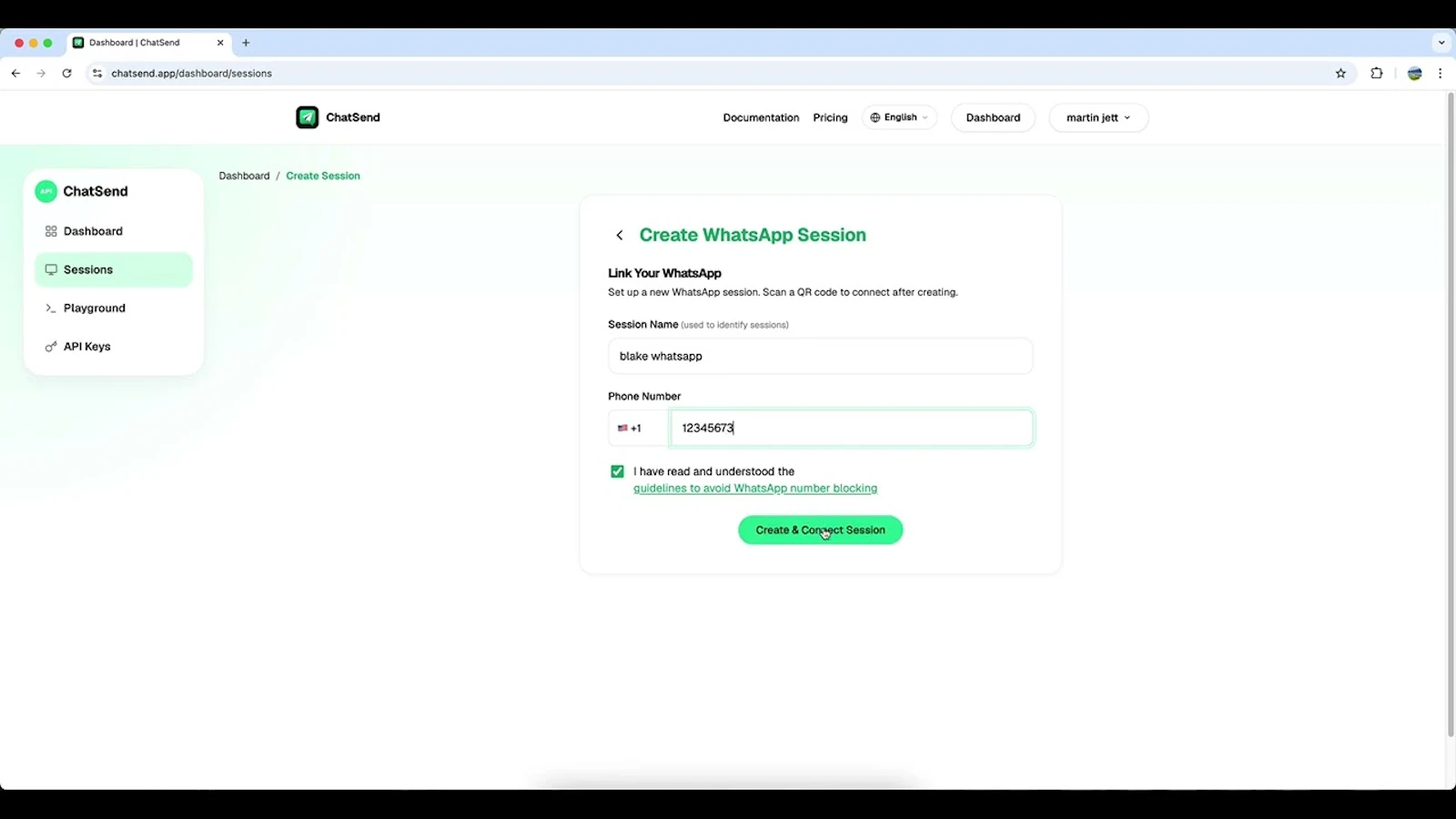 ChatSend screenshot 1 (video preview)
