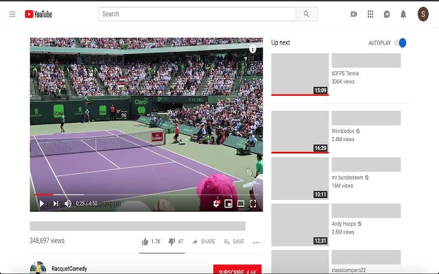 Hide my Youtube gallery image