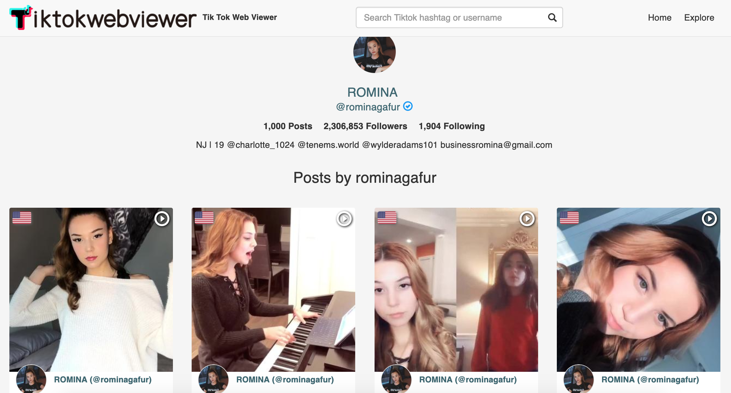 Tiktok Web Viewer gallery image