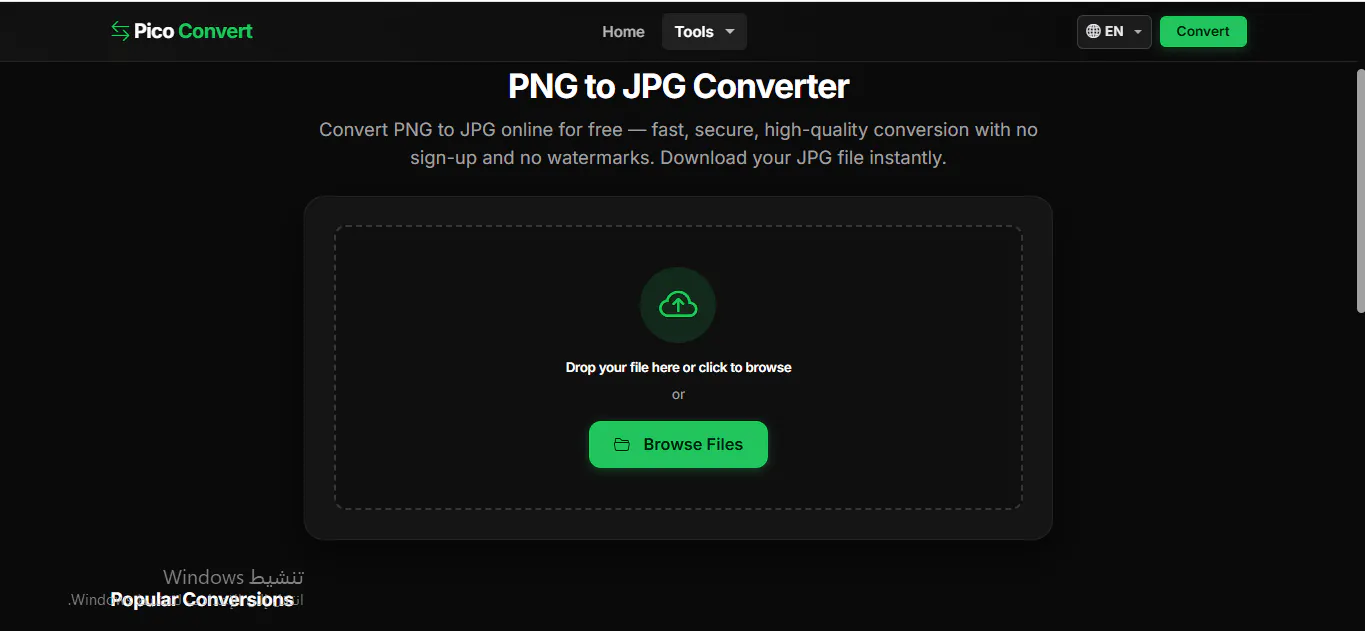 Pico Convert gallery image