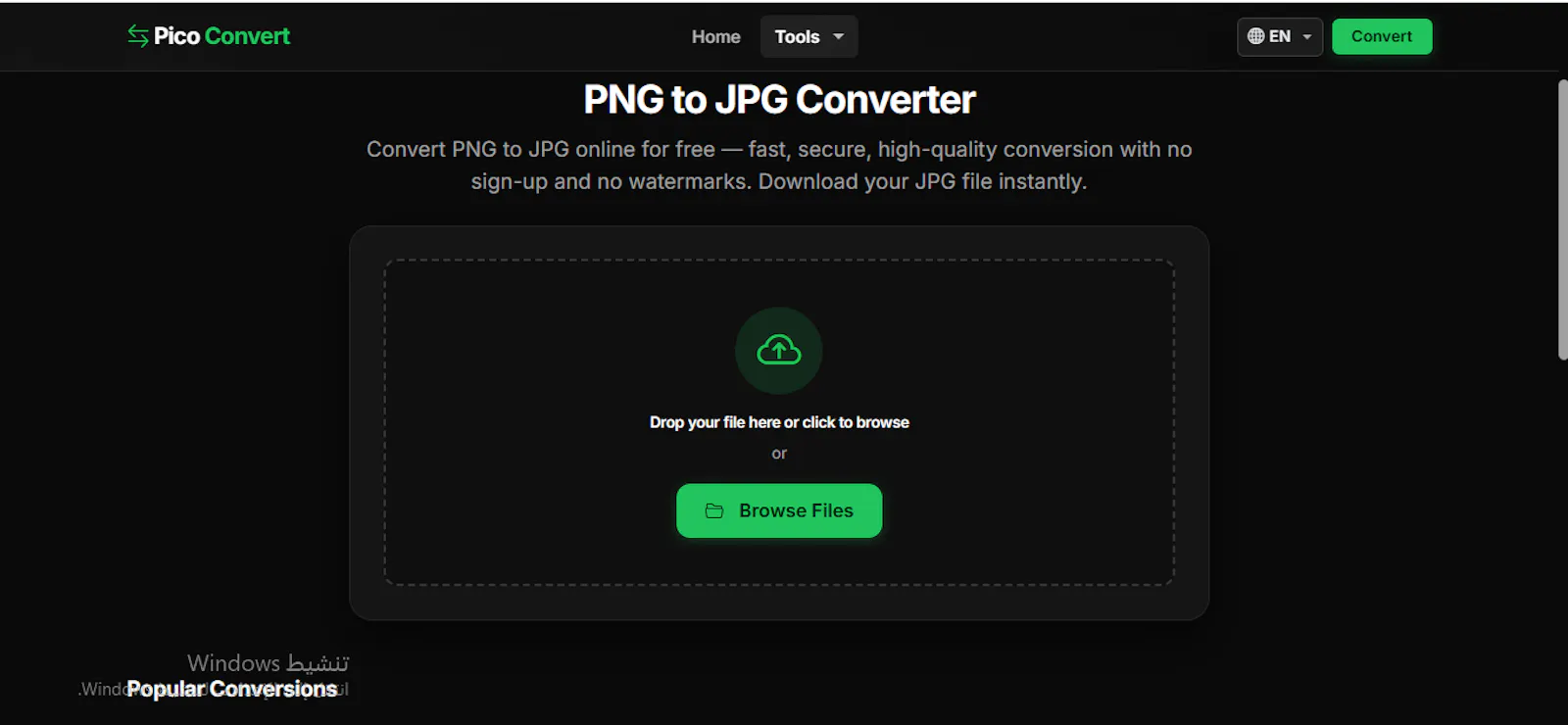 Pico Convert screenshot 3