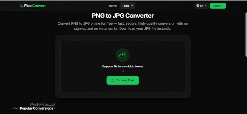 Pico Convert screenshot 3
