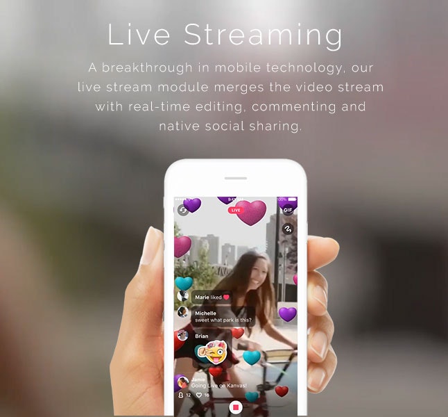 Kanvas gallery image