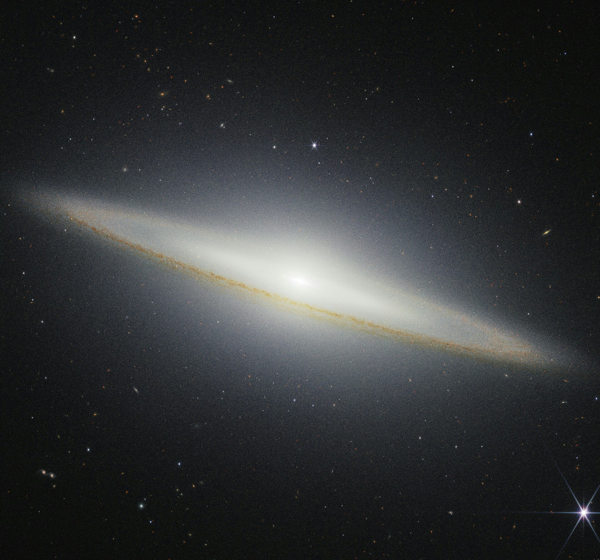 wuuniverse gallery image
