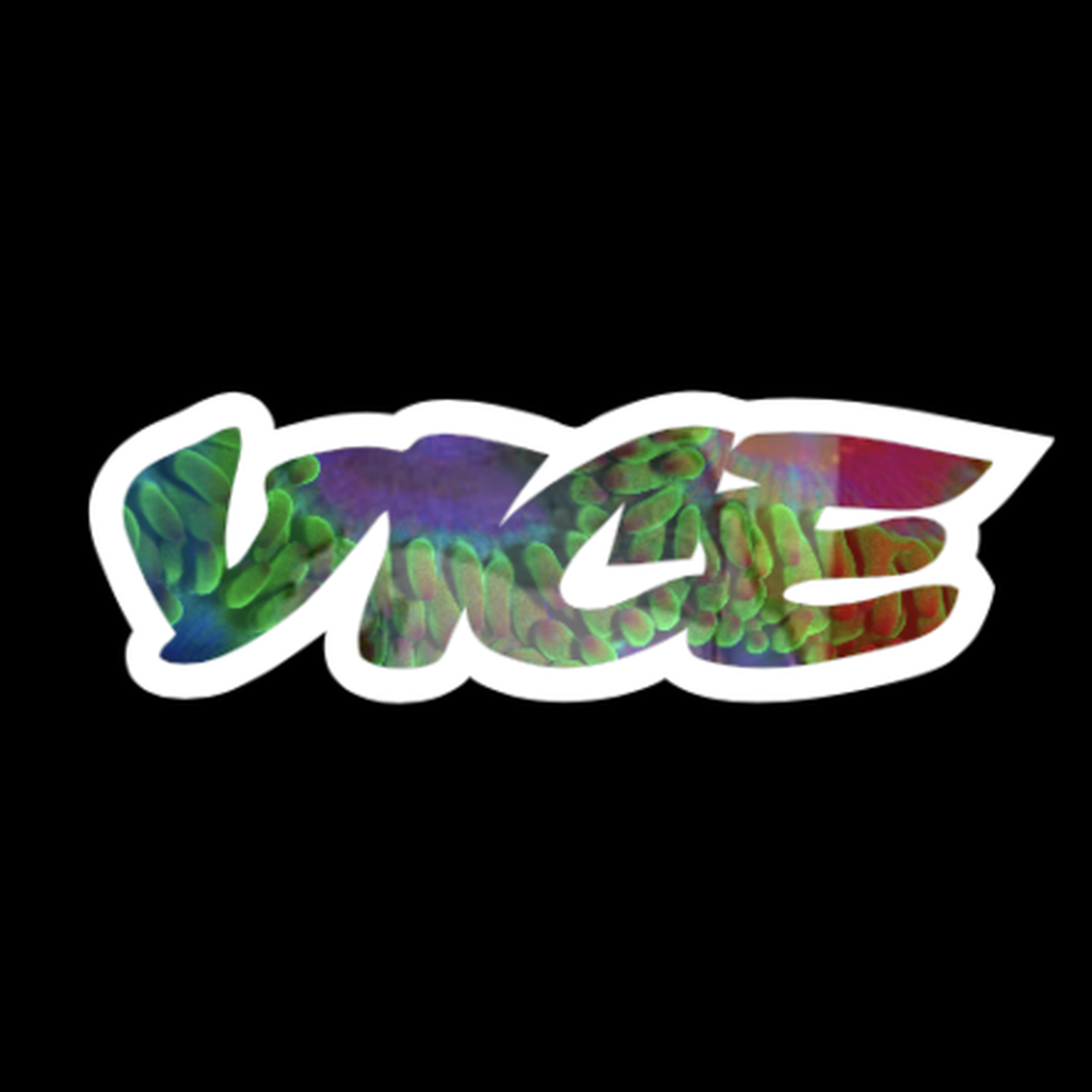 Great F*cking CODING Advice gallery image